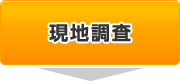 現地調査