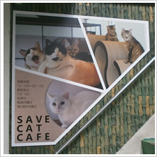 ＳＡＶＥ　ＣＡＴ　ＣＡＦＥ様の施工事例